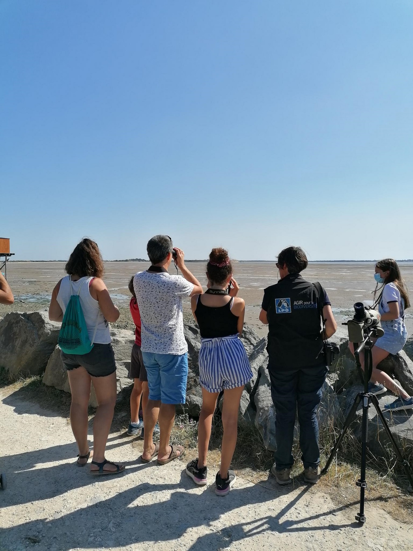 Sortie les oiseaux de la baie d'Yves